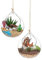 Blogiiup Hängendes Glas-Terrarium, 2 Stück, Glas-Hänge-Pflanzgefäß, Luftfarn-Halter, Terrarium-Pflanzen, Aufhänger, Vase, Zuhause, Weihnachtsdekoration, Geschenkidee