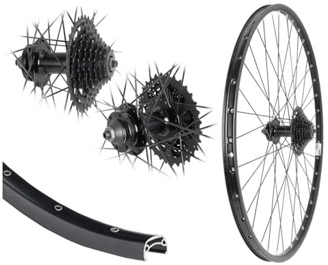 AGGRO-X 28 Zoll Alu Hinterrad 21-622 Laufrad Hohlkammer Disk 6-Loch mit 8 Fach Zahnkranz Kassette HG31 24 Gang