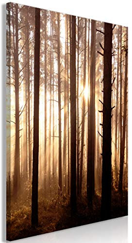 decomonkey Bilder Wald Baum 40x60 cm 1 Teilig Leinwandbilder Bild auf Leinwand Vlies Wandbild Kunstdruck Wanddeko Wand Wohnzimmer Wanddekoration Deko Natur