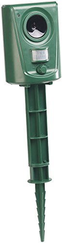 Royal Gardineer Katzenschreck Strom: Universal-Ultraschall-Tierschreck, Versandrückläufer (Katzenschreck für Wohnung, Katzen und Marderschreck, Bewegungsmelder)
