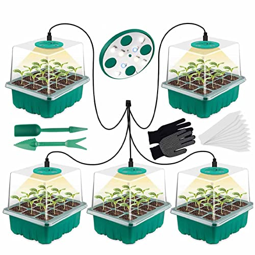 JJYDX 5 Pezzi Vassoio Germinazione, Mini Serra Germinazione con Luce Solare A Spettro Completo Mini Kit di Coltivazione per Serra per Germinazione, Strumento di Coltivazione in Mini Serra