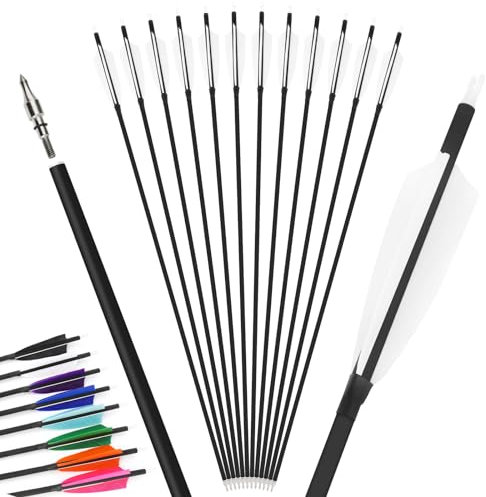 12Pcs 4inch Türkei Feder gemischt Carbon Pfeil 500 Spine Bogenschießen Jagdpfeile Anzug für Compound/Recurve Bogen Ziel Praxis Pfeil (weiß, 31 Zoll)