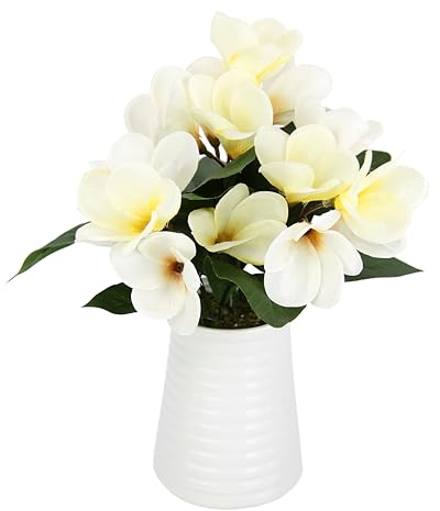 Frangipani im Topf Plumeria Blütenbusch Künstlich Wachsblume Tischdeko Mittelstück Hochzeitsdeko Kunstblumen Zimmerpflanze Kunstpflanze Blumen Unechte Deko Blütenpflanze Blumenschmuck, creme
