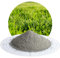 Schicker Mineral Diabas Rasensand Plus Rasenpflege, Bodenverbesserer, Nährstoffversorgung, Bodenauflockerung, für grünen, dichten, widerstandsfähigeren Rasen (25 kg für 100 m2)