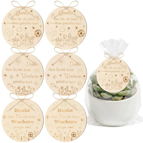 6 Stück Holzanhänger Danke dass du mir beim Wachsen geholfen hast 8cm Round Geschenkanhänger Erzieherin Geschenk Danke Geschenke Abschiedsgeschenk für Erzieherin Lehrerin Tagesmutter Kindergärtnerin