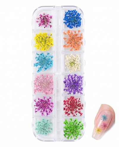 TBCDS 1 Box Getrocknete Blumen für Nägel, DIY Blumen Set, Zubehör Set für DIY Nageldekoration, Nägel Dekorationssets, 12 Farben Nail Art Nageldesign
