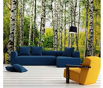 Papier peint intissé FORÊT DE BOULEAUX 375 cm x 250 cm | Tapisserie Murale XXL Poster Décoration - Salon Appartement - Photo d'art Tableaux Muraux | QUALITÉ SUPÉRIEURE - MADE IN EU - Y compris adhésif