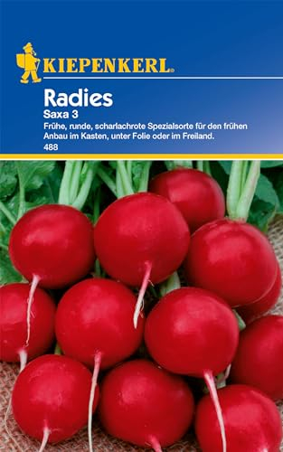 Kiepenkerl Radieschensamen Saxa 3 - Frühe Ernte, Scharlachrote Radieschen, Gemüsesamen für Garten & Balkon, Schnellwachsend
