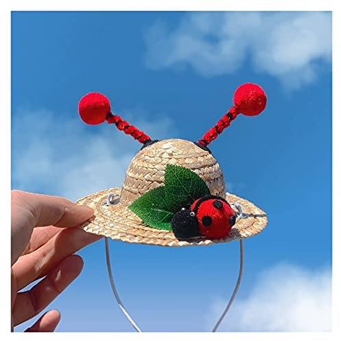 Pet Hats Pet Dog Hat Cat Summer Straw Hat Covering the Sun Hand-woven Cute Headgear Small Dog Corgi Helmet (Color : Small ladybug, Size : M)