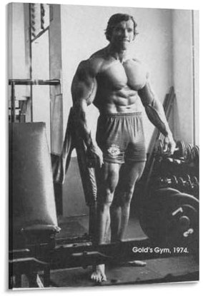 Arnold Schwarzenegger Poster Gym Motivierende Zitate Bodybuilding (60) Leinwand Gemälde Poster Wandkunst Dekorative Bild Drucke Moderne Dekor 40 x 60 cm