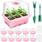 YAUNGEL Bandejas Semilleros, 10Pcs 60 Grande Agujeros Mini Invernadero Germinador de Semillas, Bandeja de Cultivo con Tapa Ventilación y Ventana Ajustable para Plantas Desemillero, Rosa