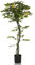 hjh OFFICE Kunstpflanze Lemon Deko Pflanze künstlich 135 cm, Zitronenbaum, pflegeleichter Kunstbaum, Grün 871058