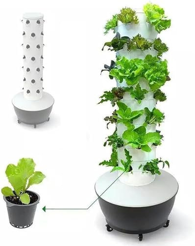 RAABYU Sistema De Cultivo Hidropónico De Jardín, Cultivo De Aviones De 6 Niveles Y 36 Pods, con Bomba De Hidratación, Cultivo Sin Tierra, Hierbas, Frutas Y Verduras
