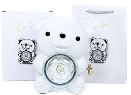Fiorky Ours en Peluche Mignon avec Rose préservée – Coffret Cadeau avec Sac Cadeau Ours câlin Rose éternelle Cadeaux Ours Rotatif Rose Boîte à Bijoux pour la fête des mères, Petite Amie