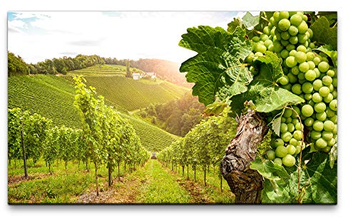 Paul Sinus Art Bilder XXL Wein Felder 120x70cm Wandbild auf Leinwand