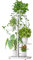 LINZINAR Support en métal pour plantes d'intérieur et d'extérieur 4 étages 5 pots Blanc