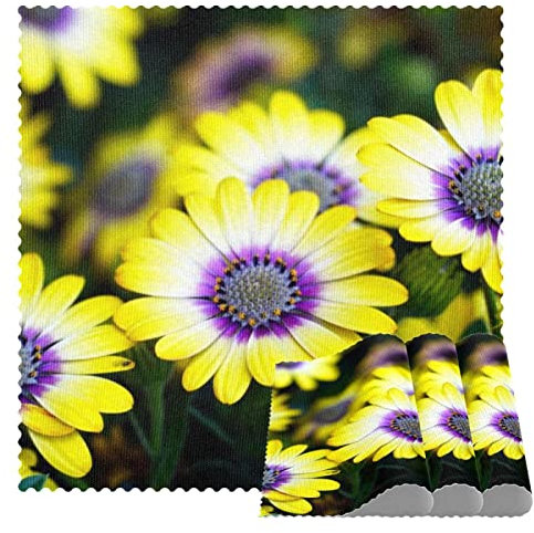 Cape Basket Quadratische Tischsets für Esstisch Set