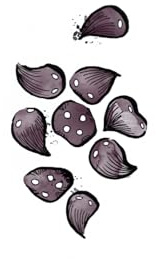 ODU IFÁ DIVINATION: ANCIENT AND MODERN TECHNIQUES TO CAST AND INTERPRET ODU IFÁ (ODU IFÁ REVELATIONS & DIVINATION TECHNIQUES)