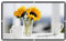 DGOINGPI videoproyector Pantalla proyector Pantalla de proyector 16:9 Metal Anti luz 60-130 Pulgadas Recubrimiento óptico Gris Reflectante portátil(84 Inch)