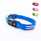 Tractive Collar luminoso para perros, Carga USB, Impermeable, collar LED (L, azul)