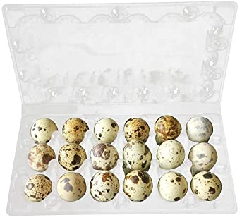 Easy Media 50pz vaschette contenitori da 18 uova di quaglia cad. blister trasparenti in plastica portauova 18 posti