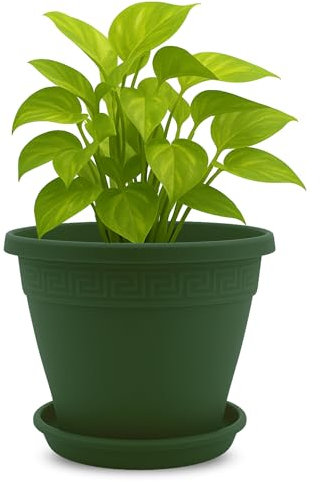 TECHZOCO Macetero con Plato, Maceta Redonda clásica de plástico con Plato, Tiesto para Plantas, Fabricado en Polipropileno, 33 cm Altura x 42 cm Diámetro Superior x 23 cm Diámetro Base, Verde