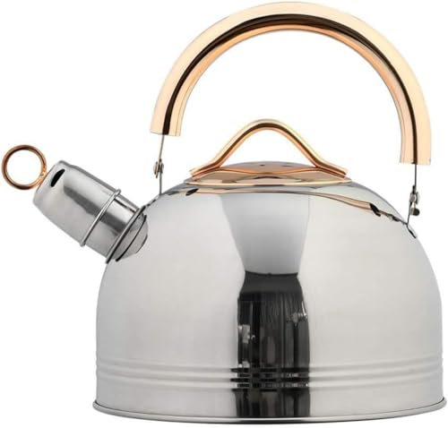 CGLTD Bouilloire sifflante pour cuisinière, fond composite épais de grande capacité, convient pour tous les types de feux/cuisinières, y compris l'induction, 3 l