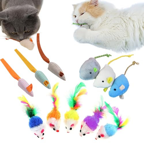 TYXHXTF 11 Pièces Jouet pour Chat - Coloré DrôLe Souris Petite, Peluches et Plumes - Petite Souris Queue Pet Jouet