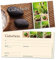 www.geschenkgutscheine-shop.com 50 Geschenkgutscheinkarten DIN Lang Wellness Feng Shui Gutschein für Entspannung oder Massage Format 21 x 10,5 cm Aus hochwertiger, dicker Box