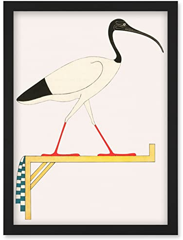 Wee Blue Coo Sacred Ibis Bird on Stand Thoth Egyptian Vintage Illustration Artwork Framed Wall Art Print A4