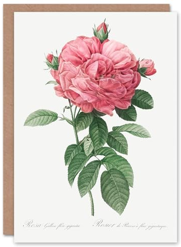 Artery8 Pierre-Joseph Redouté Art Card Giant Gallica Rose Vintage Floral