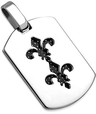BlackAmazement 316L Edelstahl Carbon Anhänger Halskette Fleur De Lis Lilie Dog Tag Marke Silber schwarz Herren Damen (Anhänger mit Kette)
