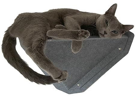 MIUT Kleines Kletterkatzenmöbel, Wandmontierte Katzenregale | Geistige Stimulation für Indoor-Katzen, Verstellbar, Wasser- und schmutzabweisend, Geeignet für Katzen zum Klettern & Spielen