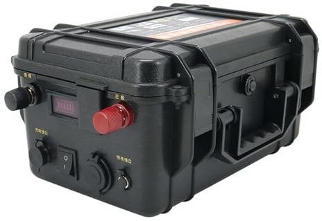 WILLQ Batterie au Lithium Fer Phosphate LiFePO4 12V 24V 60 Ah-200 Ah BMS intégré pour Moteur de Bateau électrique hélice de Bateau de pêche Batterie de Propulsion Marine,24v60ah+5a