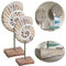 LS-LebenStil Deko Objekt Set 2X Mango Holz Aufsteller Muschel 26/32xm Sockel Säule Ständer zum Hinstellen Maritim Grau Weiß Skulptur Figur Maritime Deko Meer Strand Nordsee Bad Wohnzimmer