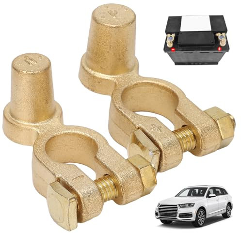 Battery Terminal Extender, Battery Post Extender, 2PCS Brass Car Terminal Connector, Quick for Home