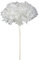 Ortensia Annabelle Pz 1 Essiccata Naturale Decorazioni Composizione Floreale (Bianco)