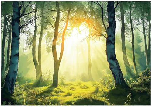 WallArena Vlies Fototapete, Wald, 200x140cm | Fototapeten - Tapeten - für Wohnzimmer Schlafzimmer - Vliestapete Wandtapete Tapete 3D Effekt- inkl. Kleister