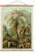 Bilderwelten Kakemono Botanik Vintage Illustration Laubfarne Hochformat 4:3 66.4x50cm Eiche