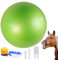 Gymnastikball, 100 cm, großer Yoga-Ball mit Pumpe, Stabilitäts-Fitnessball für Geburt, Rumpfkrafttraining und Physiotherapie