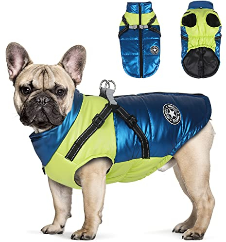 Hundemantel Winter, RosyFate Hund Warm Kleidung, Welpen Jacke, Weste Hund, Hunde Mantel Regendicht Winddicht, Hundemantel für Kleine und Mittlere Hunde(M)