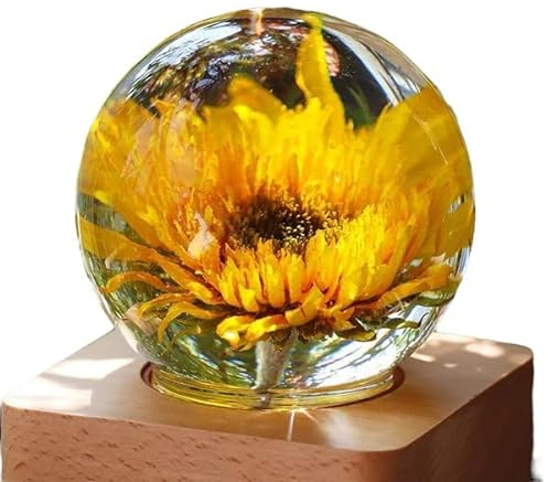 Forever Flower Lamp Romantic Gift. Real Flower Preserved in Resin and Encased in a Glass Dome on a Solid Beech Wooden Base. Everlasting Eternal Present Ambient Night Light Wife Girlfriend (Sunflower)