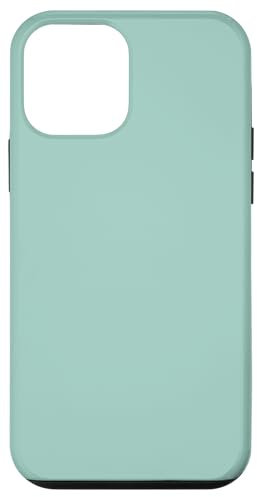 iPhone 12 mini mint, green Case