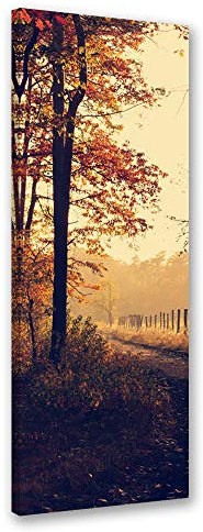 Feeby Leinwand Bilder - Natur - Wald - 30x90 cm- Deko Wohnzimmer - Wandbilder Schlafzimmer - Deko Aesthetic - Wand Deko - Leinwand Groß - Bäume - Deko Zimmer - Leinwandbilder XXL