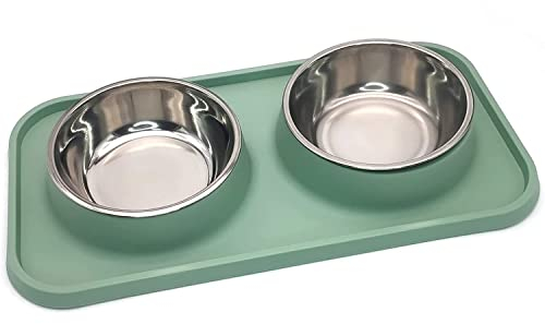 Kathson Double Dog Food Bowls Stainless Steel Dog Food and Water Bowls with Non-Spill Mat Pet Cat Feeder Bowl Set for Puppy Cats Kitten Small Medium Dogs Green