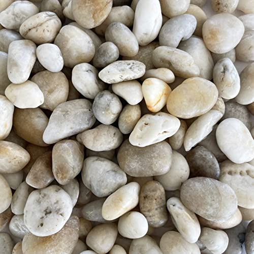 Eurosand FLUSSKIESEL, 1 kg. Kieselsteine gerundet, 20-60mm Flußkiesel 1000 g. Beige, Creme, weiß, Weiss