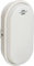 Brennenstuhl LED Ovalleuchte OL 1650 (15W, 1680lm, 4000K, IP65, Kellerleuchte zur Wandmontage)