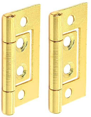 Small Brass Flush Hinges Door Flush Hinges 40mm Heavy Duty Flush Hinges for Internal External Doors Cupboards Cabinets Dresser Wardrobes Pack of 2.