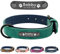 Didog Hundehalsband, weiches, gepolstertes, Leder, mit personalisierbarem, graviertem Namensschild, D-Ring. Für kleine und mittelgroße Hunde geeignet.