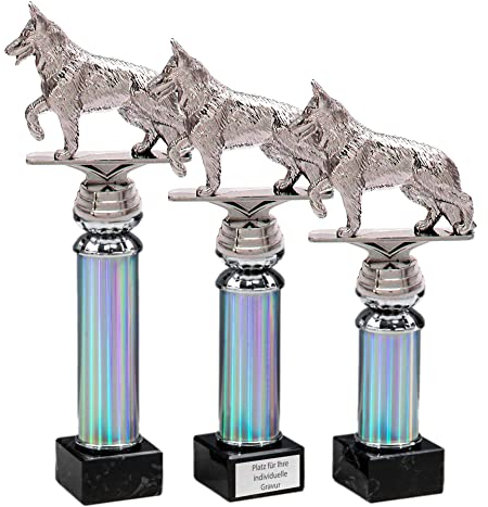 eberin · Hundesport Pokal · Hundewettkampf · Hunde Auszeichnung · Hundeverein · Hundewettbewerb · Ehrenpreis · Silber Pokal · Trophäe · Award · mit Wunschgravur in 3 Größen (26,7 cm)